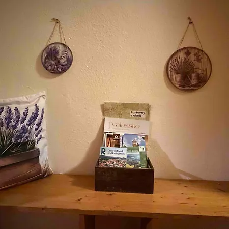 U Aleny Pod Radhostem דירה *